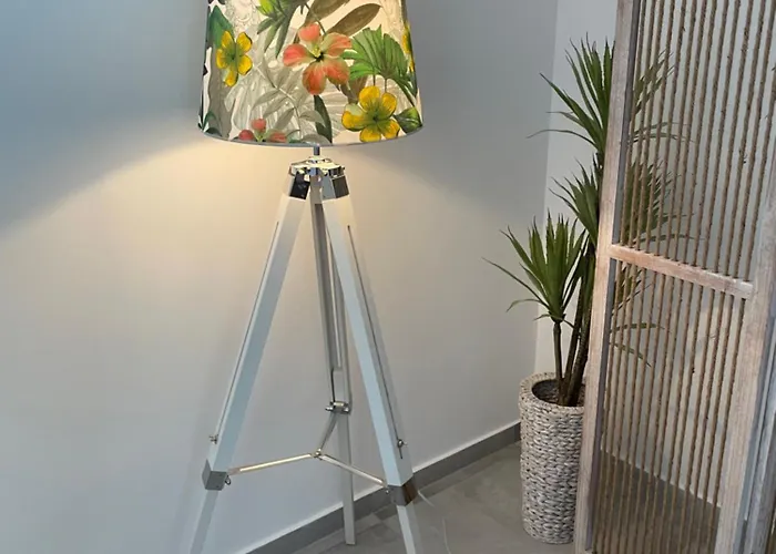 Mamma Mia Ii Τολό